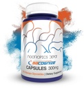 Nootropics Depot BaCognize Bacopa Monnieri 300mg Kapsle (120 Počet) Ayurvedic Herb Non- GMO, Gluten Free, a Vegetarian Friendly