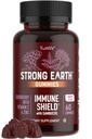 Silné pozemské bezinky - Sambucus Elderberry Imunitní podpora s vitaminem C & Zinek - Black Elderberry Gummies, Berry Flavor, Non- GMO, Lepek zdarma, Kosher - 60 Počet