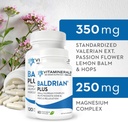 Vitaminerály 33 + Baldrian ® Plus Přírodní relaxační podpora Standardizovaný Valerian Extract (60)