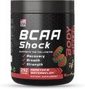 Aminová kyselina Energy Powder s BCAA, Nejlepší Intra & Post Workout Recovery drink, Muscle Recovery & Endurance Powder s BCAA podporuje růst svalů, Honeydew Flavor, 292g - Made in USA