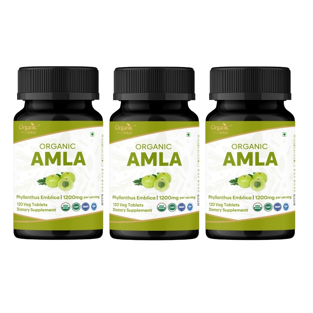 Amla 120 Tablety - USDA Organic Indian Gooseberry - Bohaté na vitamín C & Podporuje imunitní zdraví * - balení po 3