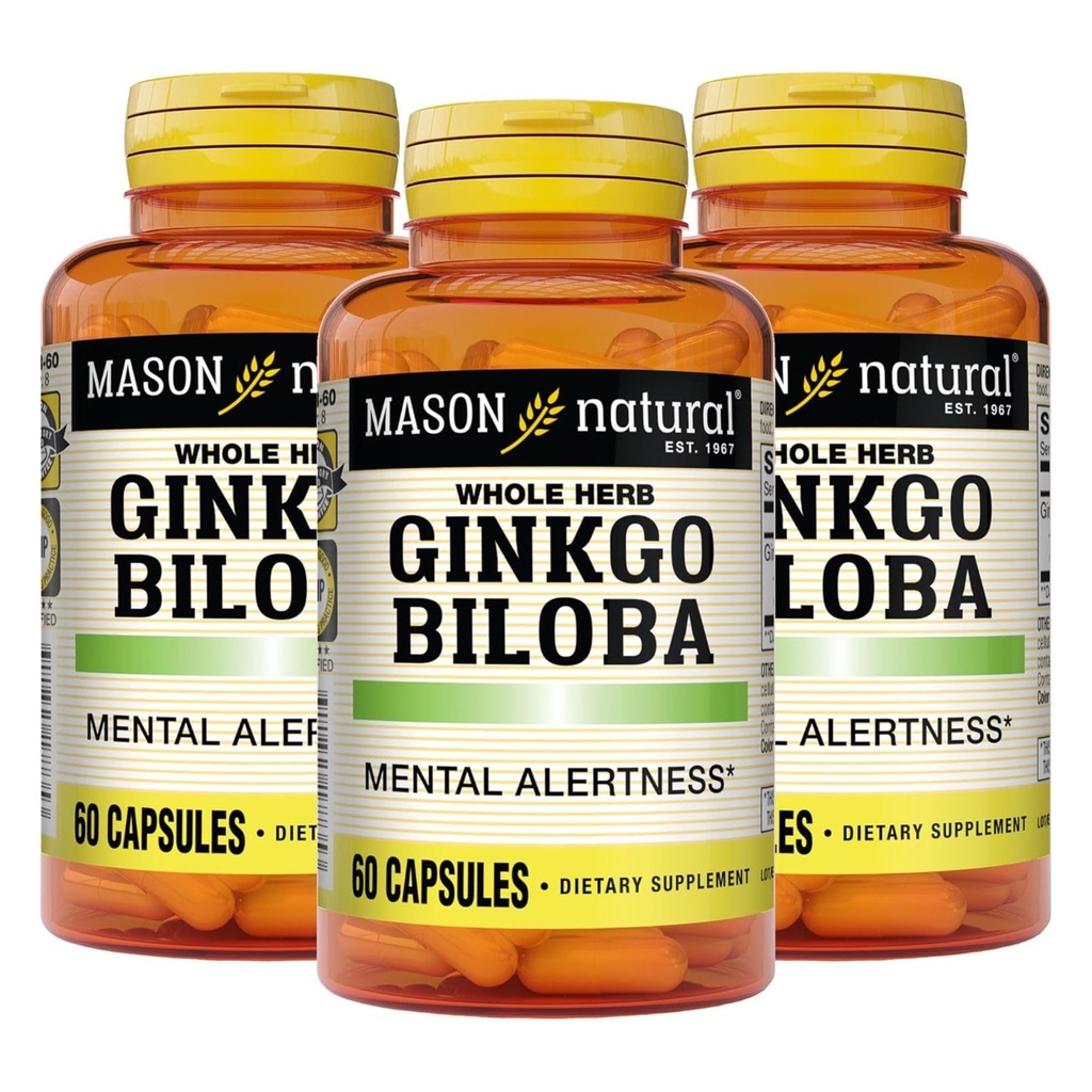 MASON NATURAL Ginkgo Biloba, 3 měsíční dodávka, pomáhá zlepšit duševní bdělost a podporu optimální funkce mozku, 60 Kapsle (3 balení)