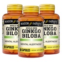 MASON NATURAL Ginkgo Biloba, 3 měsíční dodávka, pomáhá zlepšit duševní bdělost a podporu optimální funkce mozku, 60 Kapsle (3 balení)