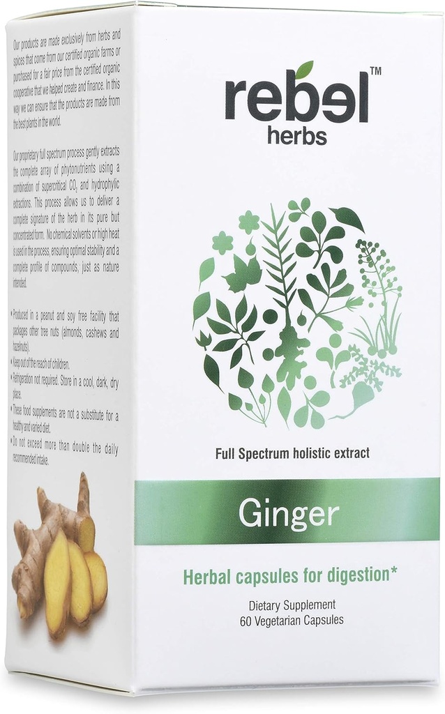 Rebel Byliny Ginger Kapsle Powerful Dual Extract, Non- GMO, Gluten Free, Ginger Root (Rhizome) Extract