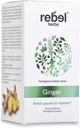 Rebel Byliny Ginger Kapsle Powerful Dual Extract, Non- GMO, Gluten Free, Ginger Root (Rhizome) Extract