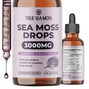 TrueSeaMoss Irish Sea Moss Drops - 5X Silnější než Sea Moss Gel - 92 + Essentials Minerals - s Black Elderberry, Burdock Root & Black Cumin - 2 Fl Oz (60ml) - Elderberry Flavor
