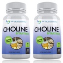 Premium Choline - 500 mg - 120 Veggie Kapsle - Podporuje kognitivní zdraví, Paměť & Více - 2 balení