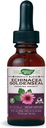 Příroda Way Premium Formule Echinacea- Goldenseal, 250 mg na porci, 99,9% Alkohol-Free, 1.01 Oz.