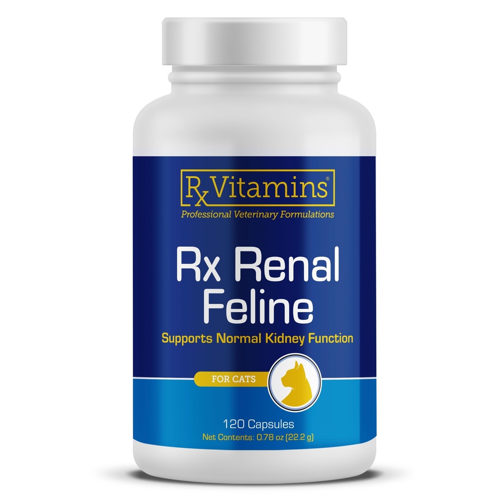 Rx Vitamins Renal Feline - Kočičí ledvinová podpora s mléčným bodlákem pro kočky - Anti-zánětlivé pro kočky - Podporuje Kočičí antioxidant Health & Cat Játra - Kočičí imunitní booster - 120 Kapsle