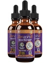 Rejuvica Health Zenapin IR - Advanced Mood Supplement - Kava Kava, Ashwagandha, Passionflower, Heřmánek, B-Vitamíny & Více