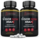 Odůvodněné laboratoře (2 balení Vigor nyní Max 1600MG Pokročilý mužský zdravotní vzorec 120 Kapsle
