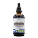 Tajemství Tribe Goldenseal a Echinacea Alcohol- Free Liquid Extract, Byliny (Echinacea Root (Echinacea Purpurea), Goldenseal Root (Hydrastis Canadensis)) Dodatek k tinktuře (4 FL OZ)