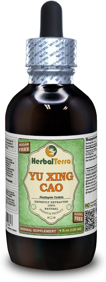 Yu Xing Cao (Houttuynia Cordata) Glycerit, sušený Herb Alcohol- Free Liquid Extract (Značka: HerbalTerra, Proudly Made in USA) 4 fl.oz (120 ml)