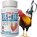 Farmalab B12 B15 pro Kohouty B15 B12 para Gallos 100 Tablet
