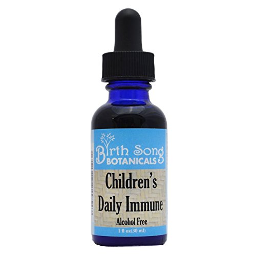 Narození Song Botanicals Dětské organické denní bylinné tinktura, Bylinné Astragalus dodatek, 1oz láhev