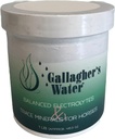 Gallagher 's Water Balanced Electrolytes and Trace Minerals for Horses, 1LB