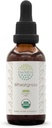 HerbEra Wheatgrass B60 USDA Organic Tincture PHARMA124; Alkoholicko-Free Extract, high- potency Bylinné kapky, Liquid Supplement PHARMAD 124; Certified Organic Wheatgrass (Triticum aestivum) Sured Leaf (2 oz)