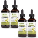 Maxx Herb Olive Leaf Extract - Max Strength Oleuropein Liquid Absorbs Lepší než Kapsle nebo čaj, pro imunitní podporu, srdce zdraví, a sezónní Wellness - 4 Láhve, 4 Oz každý (240 Servings)
