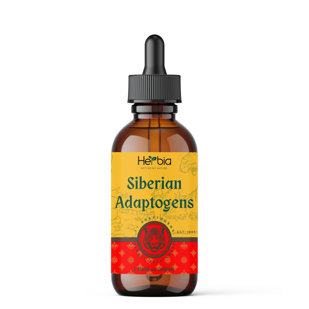 Sibiřské Adaptogens Bylinné míchání s Maral, Spikenard, Eleuthero, Red Ginseng, Rhodiola, Schisandra, Lékořice, Peony, & Více - Posiluje energii, Zvyšuje zaměření, snižuje stres, 2 Fluid oz (60 ml)
