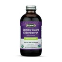 Flora Organic Black Elderberry Syrup + 8.5oz - Imunitní Booster s Echinacea, pro děti a dospělé, No Add Sugar, Gluten Free, Vegan, SambuGuard