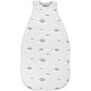 Woolino Merino Wool Ultimate Baby Sleep Sack - 4 sezóna Baby Wearable Blanket - Two- Way Zipper nastavitelný spací pytel pro děti a Toddlers - univerzální velikost (2-24 měsíců) - Rainbow