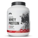 Levels Grass Fed syrovátkový protein prášek, bez umělých látek, 24G proteinu, Strawberry, 5LB