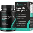 Herbal Lymfa System Support Supplementary - Lymfatický podpůrný komplex s Echinacea Goldenseal Astragalus & Hydroxytyrosol pro Lymfatické odvodnění a imunitní podporu - Vegan Non- GMO gluten zdarma (1 měsíc)