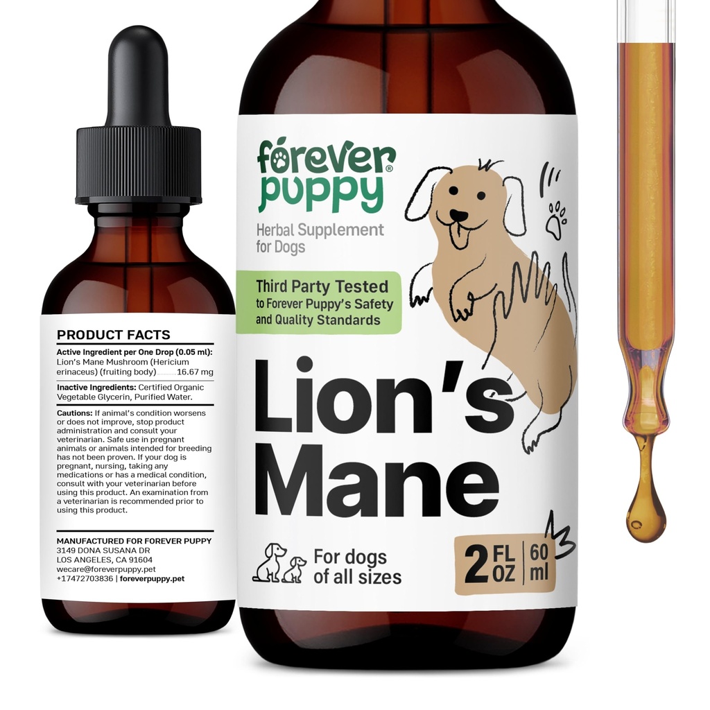 Doplněk k houbě pro psy - Brain & Focus Support - Liquid Lion 's Mane Houba pro psy - Vitamíny a doplňky pro psy - Cukr & Alkohol- Volný kapky - 2 fl oz