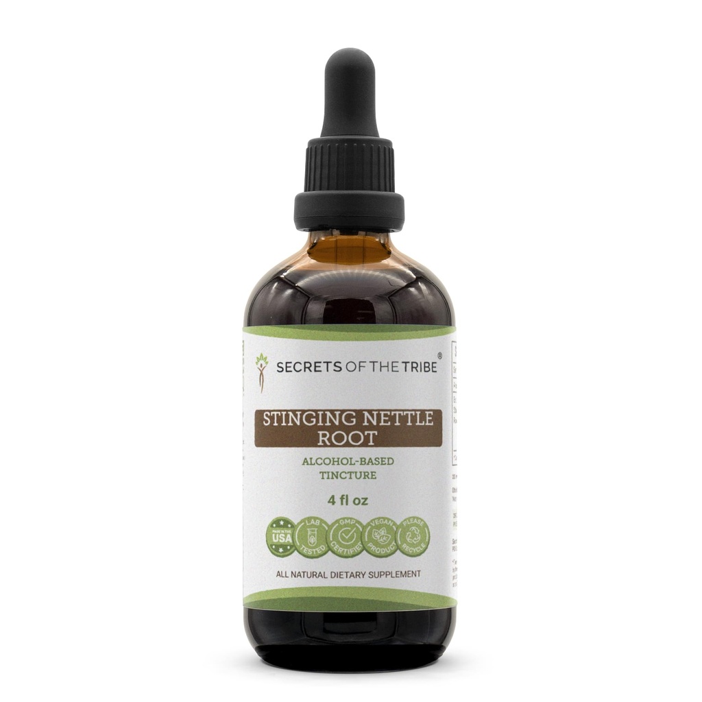 Tajemství kmene - Strhující kořen kořen Tinktura Alkohol Extract, Strhující kopřiva (Urtica Dioica) Sušená kořen 4 OZ
