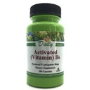 Denní výroba aktivovaného vitaminu B6