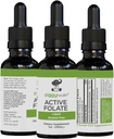 Active Folát čistý tekutý extrakt dodatek - L- methylfolát pro lepší absorpci, zdraví mozku, zlepšení buněčné funkce, podpora imunitního systému, voda rozpustný B komplex, 1oz - by Ziggy Health