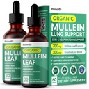 5-in-1 Mullein Drops for Lungs and Bronchial - Respirační Lung Health Support with Mullen Leaf Extract for Lungs - Mullein Tincture with Elderberry, Echinacea and Ginger Root (60 Servings) (2- pack)