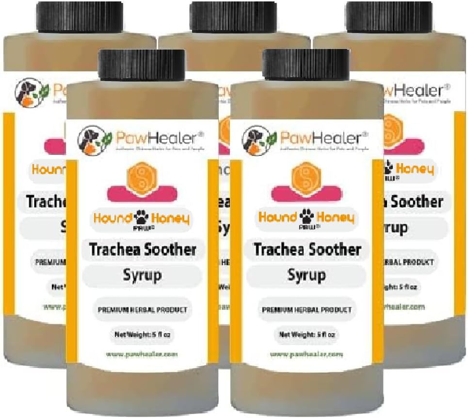 Průdušnice Soother Syrup 5PAK Hound Honey - Přírodní Bylinné Remedy pro příznaky zkolabované Trachea - Chutě dobré - snadné podání (5 fl oz / ea)