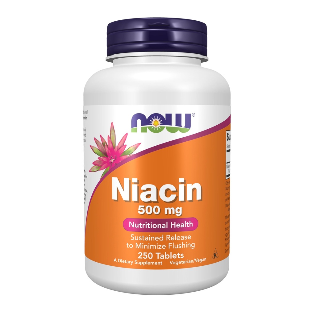 Nyní Potraviny doplňky, Niacin (Vitamin B-3) 500 mg, Trvalé uvolňování, výživové zdraví, 250 tablet
