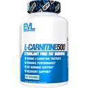 EVL L-karnitin dodatek pro podporu hubnutí - L karnitin tartarát pro vytrvalost a podporu spalování tuků - stimulant bez aminokyseliny pro metabolismus tuků (120 Služeb)
