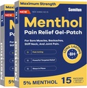 Sumifun Medicated Cold Hot Patches - 30 Počet 5% Menthol Extra Strength Relief Pain Patches Výkonná cílená pomoc pro jednoduché záda, společná bolest, Stiff Neck, Muscle Sore