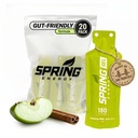 Spring Energy - Awesome Sauce - Skořice Apple Pie Gel (Vegan) 180 Kcal - 20 Pack (20 Pack, Awesome Sauce)