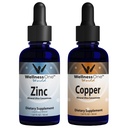 WellnesSOne iontový tekutý zinek a kapalná měď - Zinc-měděný pouzdro na podporu imunitního systému & kloub, nerve & zdraví kostí - 1.67 fl oz zinek & měď kapalné kapky