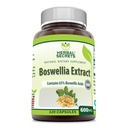 Bylinné tajemství Boswellia Serrata Extract (65% boswellic Acids) 600 mg 120 Příplatek kapsle - Non- GMO - gluten zdarma