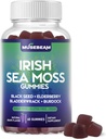 Irské Moss Gummies - s černým semenem Elderberry Bladderwrack Burdock Turmeric Omega33 Vitamíny C D3 Zinek - Mořské doplňky pro dospělé ženy - Sugar- Free gluten zdarma Vegan