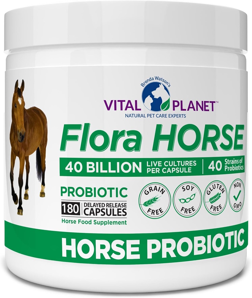Vital Planet - Flora Horse Probiotic, High potency Equine Probiotics with Prebiotics, 40 Milionů živých CFU z více drážek, stravovací a imunitní podpora, 180 opožděné uvolnění kapsle (180 dní)