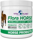 Vital Planet - Flora Horse Probiotic, High potency Equine Probiotics with Prebiotics, 40 Milionů živých CFU z více drážek, stravovací a imunitní podpora, 180 opožděné uvolnění kapsle (180 dní)