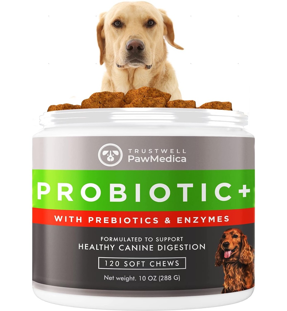 PawMedica Dog Probiotics and Digestive Enzymes, Probiotika pro psy Made in USA, Pet Probiotic Chews for Dogs, Prebiotics & Probiotic Dog Digestive Support, Probiotic Treats - 120 Dog Probiotic Chews