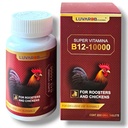 B-12 200 Tablety pro komíny ptáků