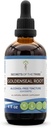 Tajemství kmene Goldenseal Root Tincture Alcohol- Free Extract, High- Potency Bylinné kapky, Tincture Vyrobeno z odpovědně farmové Goldenseal Hydrastis Canadensis Zdravá strava 4 oz