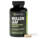 Mullein Leaf Kapsle pro respirační zdraví - 5000mg Extract 10: 1 pro podporu a imunitní funkci plic - 90 Hrabě - Vegan, Non- GMO Kapsle - Bylinný dodatek pro denní Wellness - 3 Měsíční dodávka