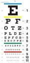 Eye Chart, Upgraded Snallen Eye Chart pro oční zkoušky 20 stop, 22x11 Inches Plastic Low Vision Eye Charts Wall Charts s kovovým okem pro děti dárky nástěnné dekorace (20 stop zkušební vzdálenost)