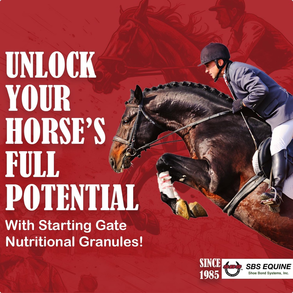 SBS Equine Starting Gate Granules - Koňský žaludek Ulcer Léčba & Ulcer Relief, Koňský dodatek Formule Scoop pro krmení, Perfektní příprava jako Hoof dodatek (5 Gallon)