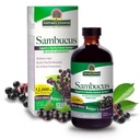 Odpověď přírody Sambucus Elder Berry Extract Syrup 8 Ounce (3 Pack) 124; Daily Imunitation Support CLAS124; Baleno s antioxidanty CLAS124; Family Friendly CLAS124; Flue Season Defender