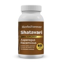 Herbsforever Shatavari Kapsle Premium Asparagus Racemosus Dodatek 40% Saponiny 750 mg High-Potency Formule - 60 Vegetariánské Kapsle Bylinné Wellness & Balance Podpora Non- GMO